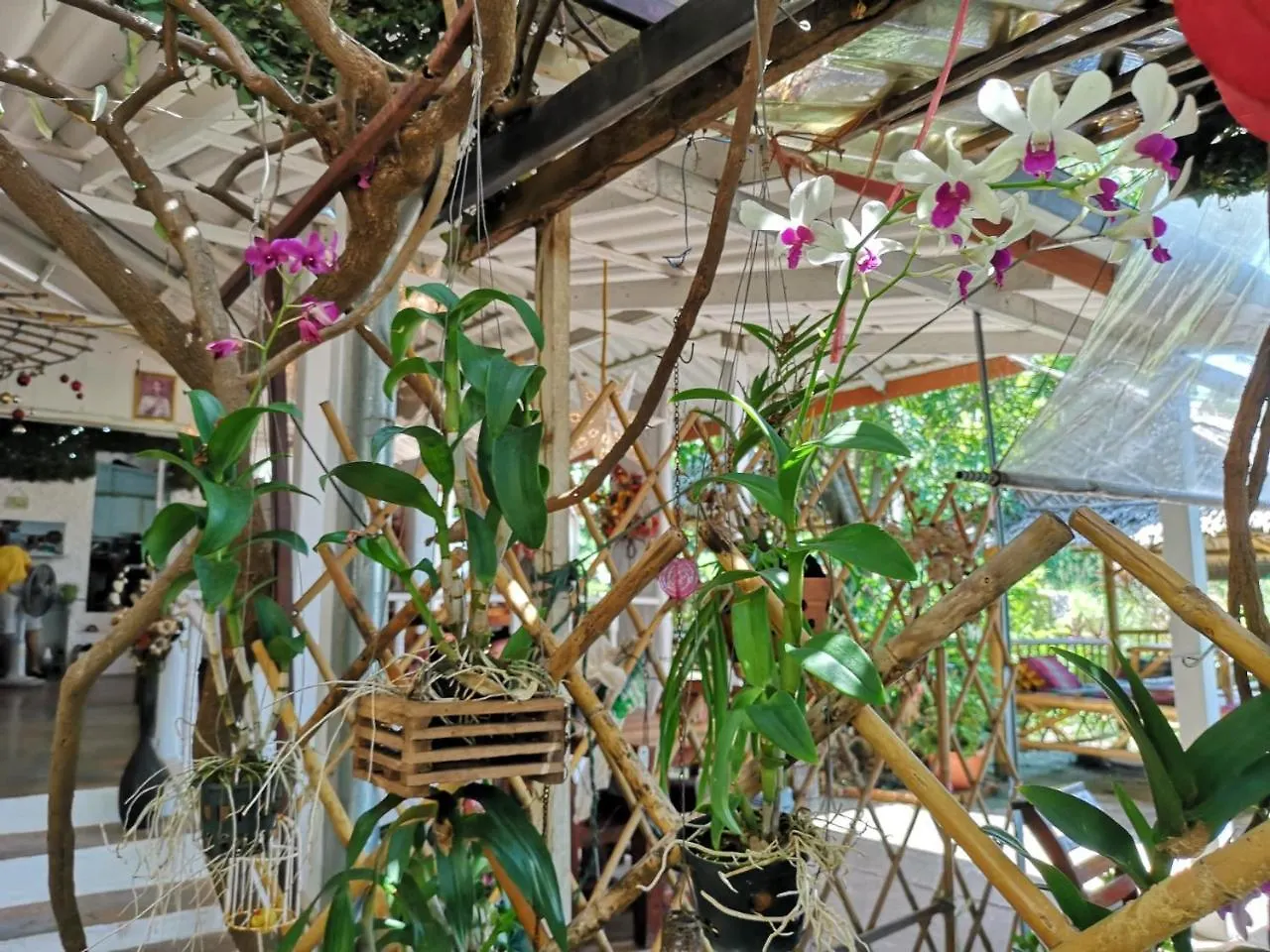 Penzion Hotel Patty'S Secret Garden Ko Lanta